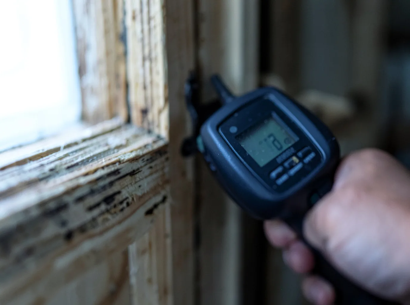 Commercial Water Damage Restoration in Saint Bonifacius, MN